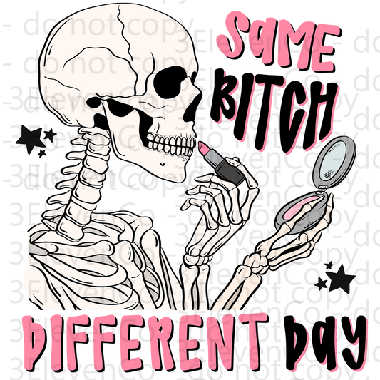 SD 2024 SAME BITCH UV DTF decal