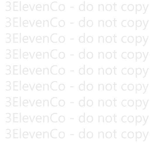 please don't talk to me | decal | DTF print