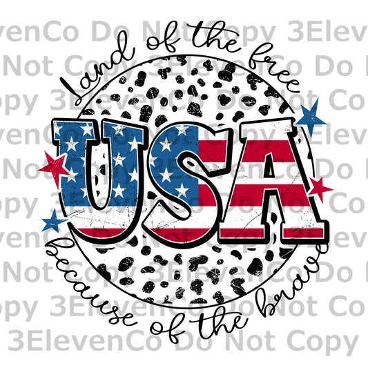 USA dalmation round vinyl decal | UV DTF decal | DTF print